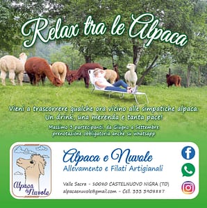 alpaca_relax