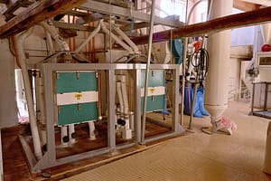 DSC_2117_web
