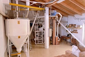 DSC_2119_web