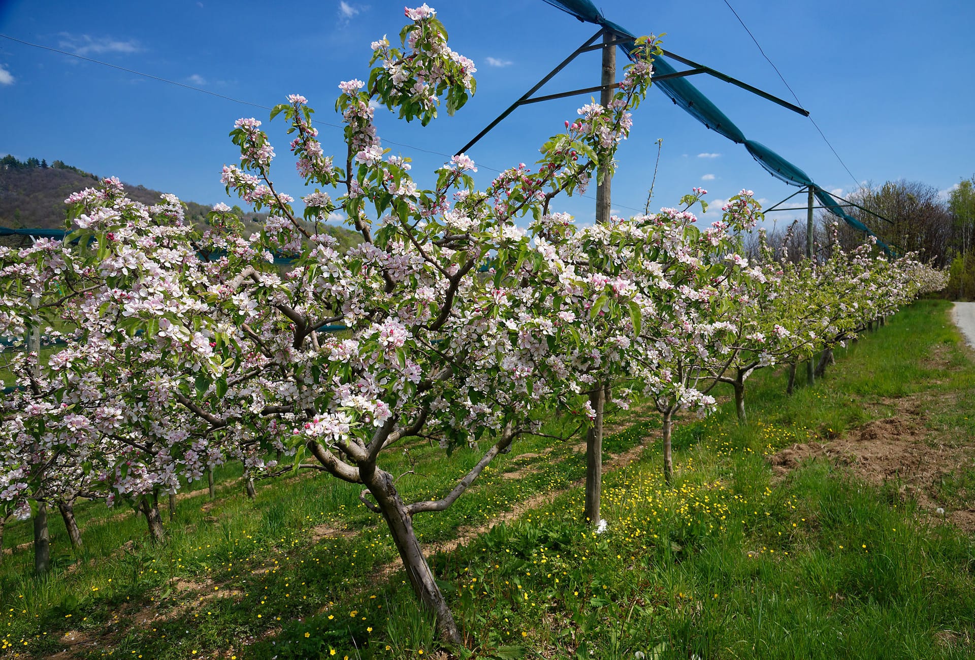 RITROVARE <br></noscript>I SAPORI <br>DELLA NATURA…